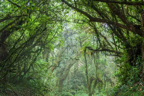 
				
					9 passeios de ecoturismo na Paraíba
				
				