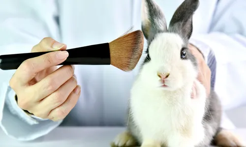 
                                        
                                            Marcas que não fazem testes em animais
                                        
                                        