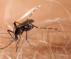 Casos prováveis de dengue na Paraíba em 2024 são mais que o dobro do mesmo período do ano passado