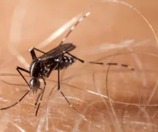 Paraíba registra primeira morte por dengue em 2024