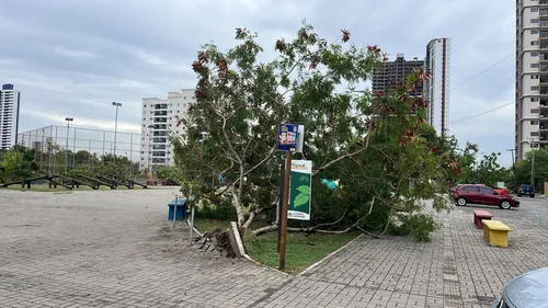 
				
					Chuva com ventania de 74 km/h causa transtornos em João Pessoa
				
				