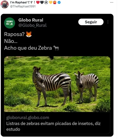 
				
					Classificação do Sousa na Copa do Brasil 2024 gera memes nas redes sociais; confira
				
				