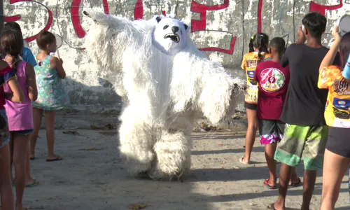 
                                        
                                            20 anos do Ala Ursa Celebridade: agremiação comemora aniversário no Carnaval Tradição de João Pessoa
                                        
                                        