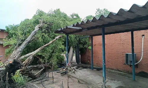 
                                        
                                            Chuva com ventania de 74 km/h causa transtornos em João Pessoa
                                        
                                        