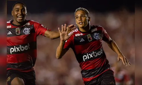 
				
					Autor de gol do Flamengo no Almeidão vai reforçar o Treze em 2024
				
				