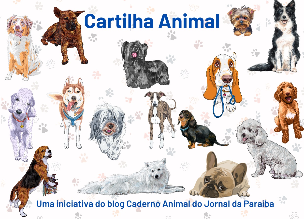 
                                        
                                            Tutor legal segue a Cartilha Animal
                                        
                                        