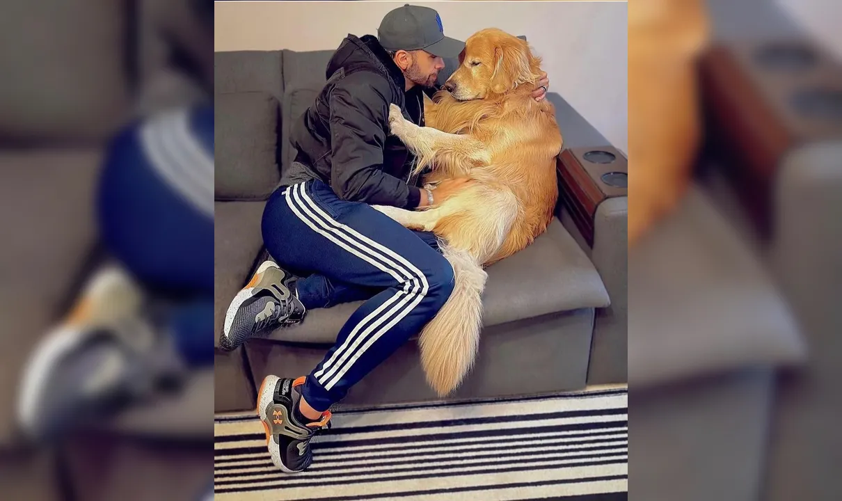 Até quando as companhias aéreas tratarão nossos filhos pets como pacotes comuns?