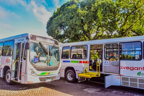 
				
					João Pessoa recebe 35 ônibus para renovação da frota
				
				