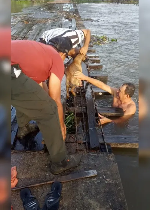 
                                        
                                            VÍDEO: Cachorro é resgatado por moradores após cair de ponte no Sertão da PB
                                        
                                        